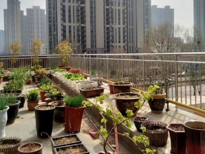 星空电竞·(中国区)官方网站个人阳台不锈钢栏杆项目