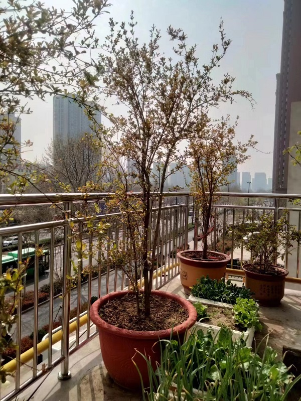 阳台护栏